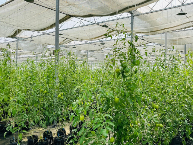 WhatsApp Image 2025-08-04 at 12.22.32 AM